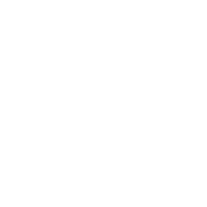 cropped-PETRA-LOGO-solid-white.png